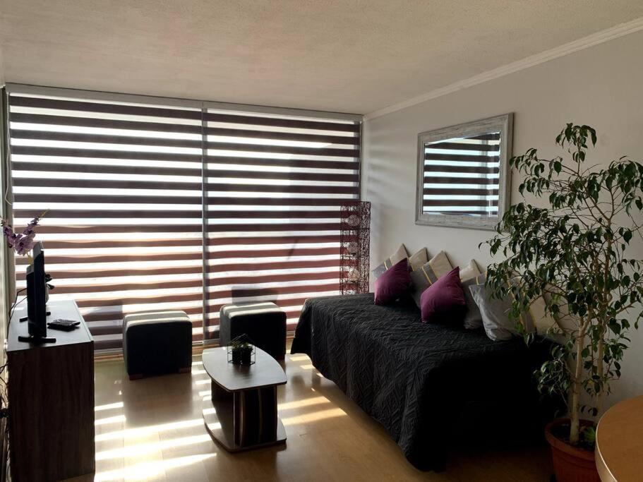 Depto Excelente Ubicacion Y Hermosa Vista Con Aire Acondicionado Mac10 Apartamento *
