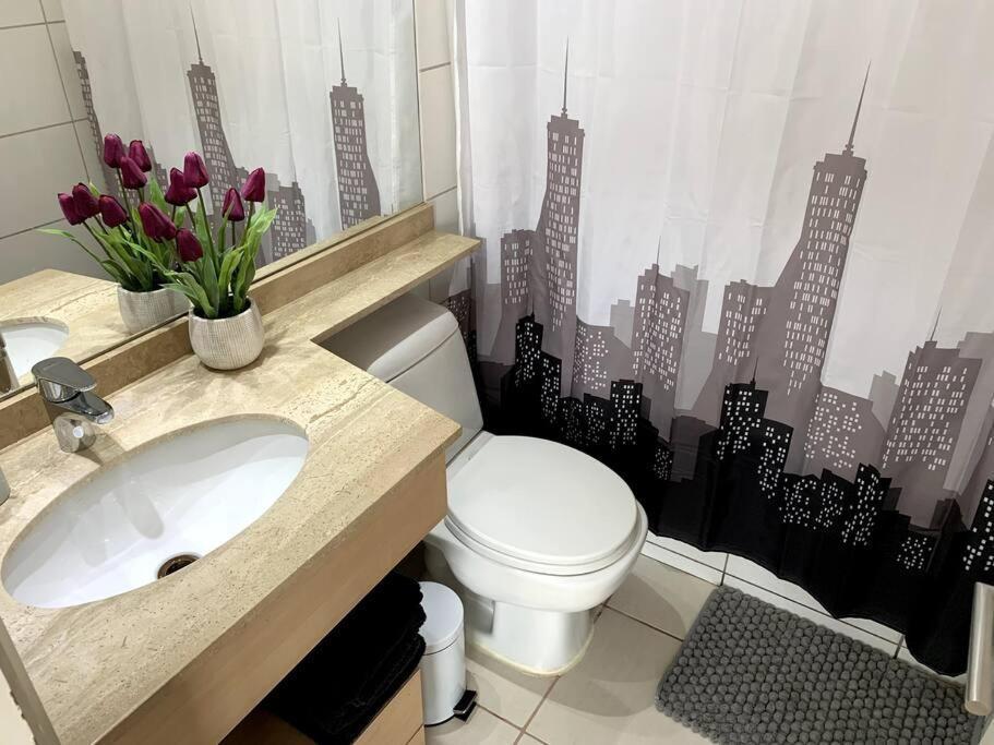 Apartamento Depto Excelente Ubicacion Y Hermosa Vista Con Aire Acondicionado Mac10