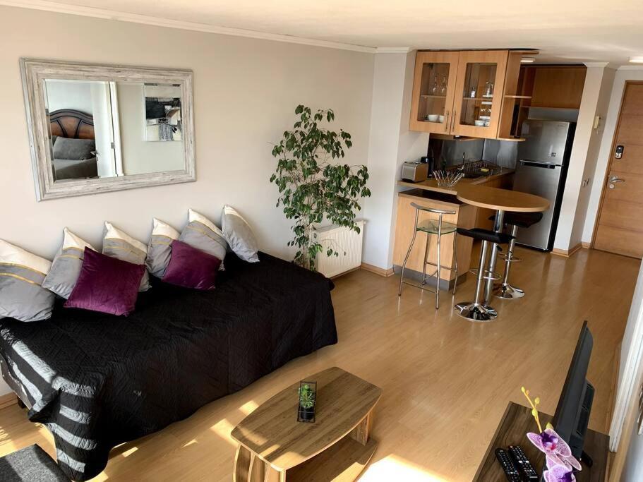 Apartamento Depto Excelente Ubicacion Y Hermosa Vista Con Aire Acondicionado Mac10